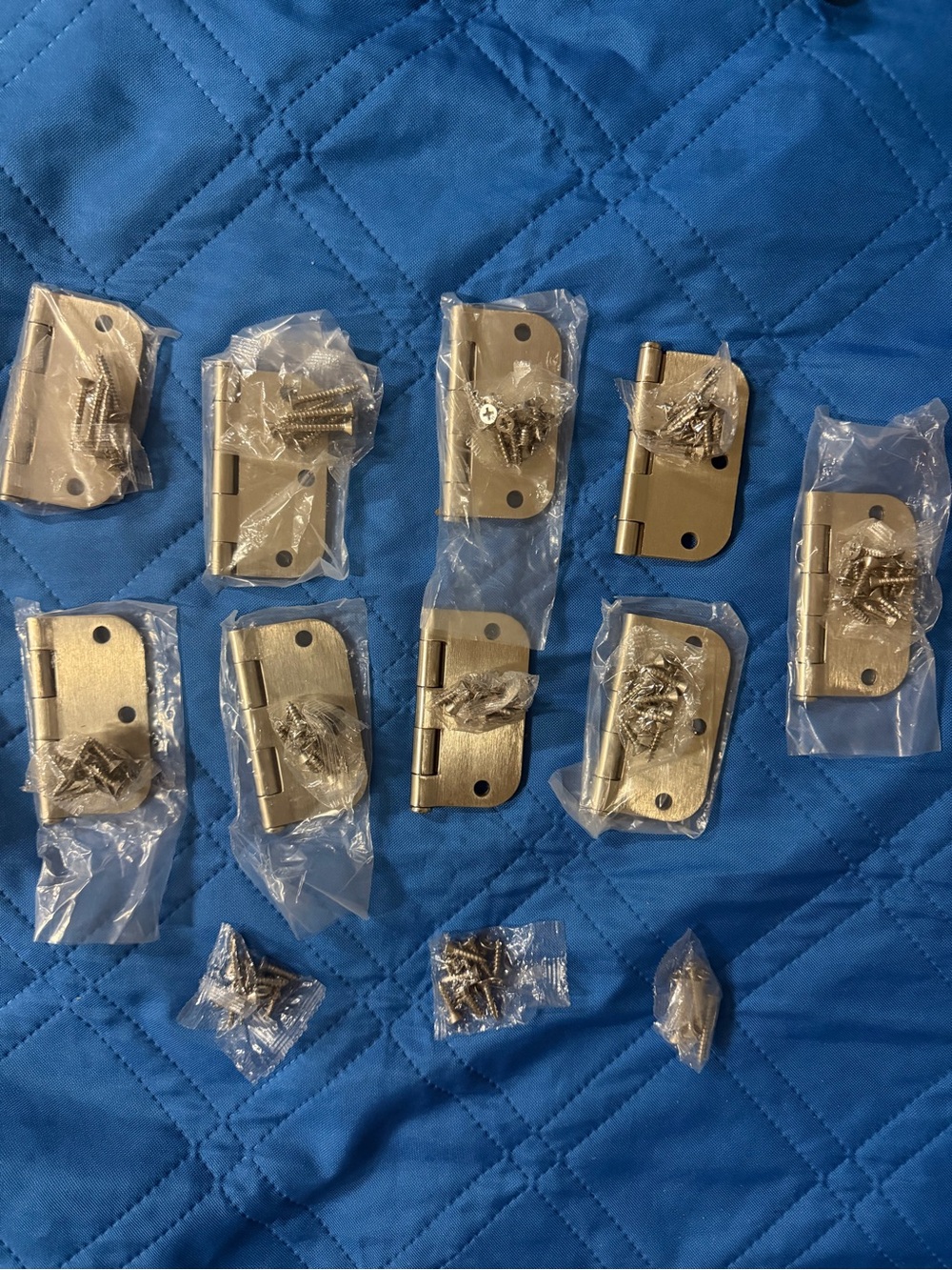 Premium Satin Nickel Door Hinges with Mounting Screws - Set of 9